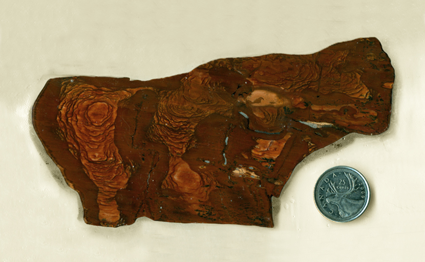 Reddish-brown slab of Biggs Jasper from Oregon, with a series of patterns like and aerial view of mountains.
