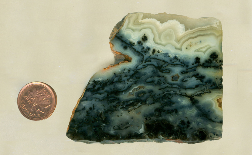 Colorless, patterned agate slab from Wyoming, patterned with black plumes of manganese.