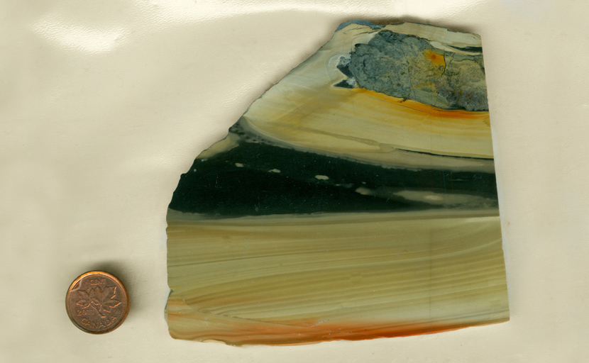 A slab of Zebra Agate from India, with black bars on a creamy background, and streaks of bright orange beside them.