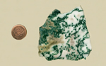 Bright green moss patterns over a white background in a chalcedony from India.