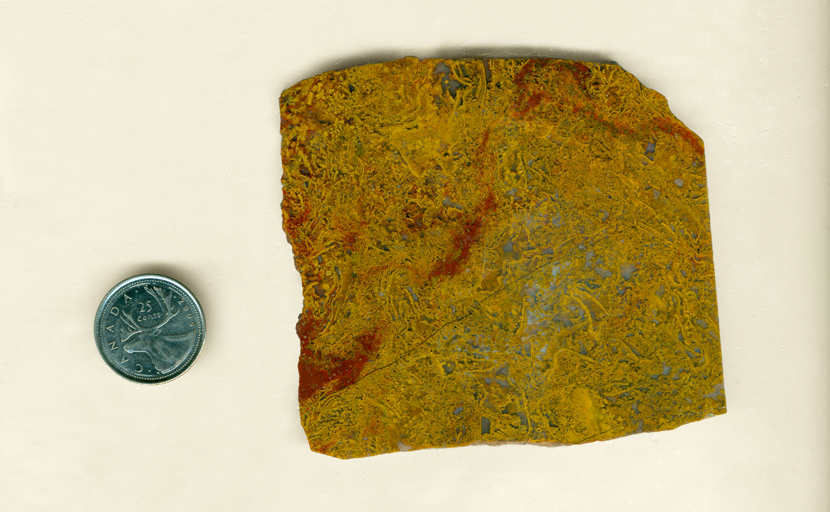 A slab of Roostertail Agate from Durango, Mexico, full of bright yellow moss inclusions, with streaks of red through it, and deeper blue behind it all.