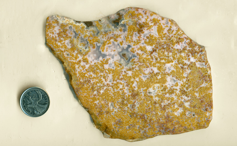Slab of Calico Lace Agate from Mexico, with yellow moss patterns in a pink medium, which in turn is in a clear medium.