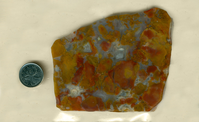 A slab of Vaquilla Agate from Mexico, with blotches of yellow, orange and red floating on a blue surface.