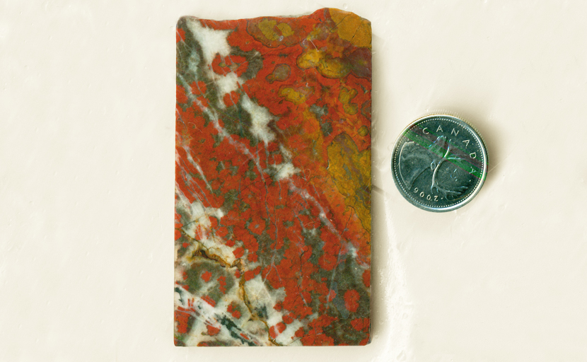 Red flower-patterns in a black, yellow and white slab of Morgan Hill Poppy Jasper from California.