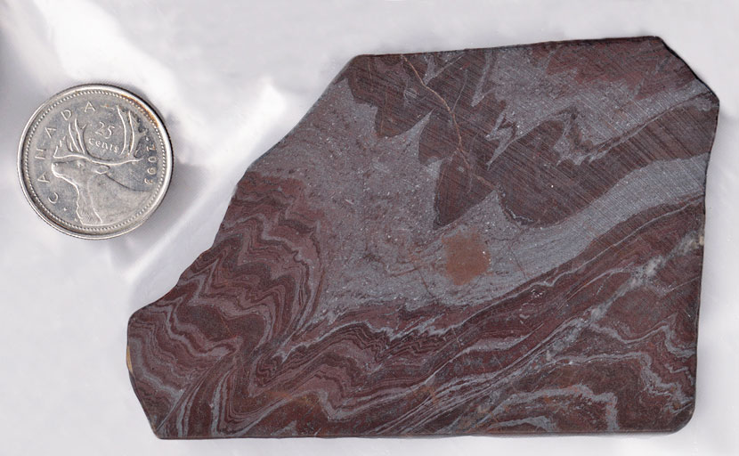 Flowing metallic reddish, silver and black patterns in a slab of Tiger-Iron from Australia.