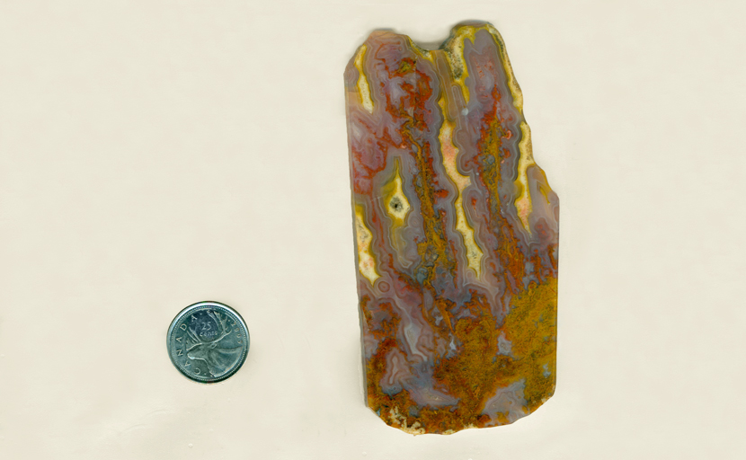 Slab of Cathedral Agate from Mexico, with golden brown moss in a medium of pink, purple and yellow flame patterns, each of which is built around a blue fortification.