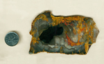 A slab of Petrified Wood, with bright red and yellow flames on a background of blue-gray and black.