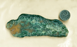 Blue-green moss inclusions floating in translucent chalcedony in a slab of Wind River Moss Agate from Wyoming.