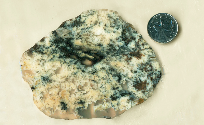 Blue-green and white Wind River Moss Agate slab from Wyoming.