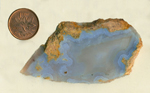 A slab of Mount Airy Blue Agate from Nevada, with a bright, strong blue interior with fortification patterns and surrounded by a bright yellow layer of matrix.