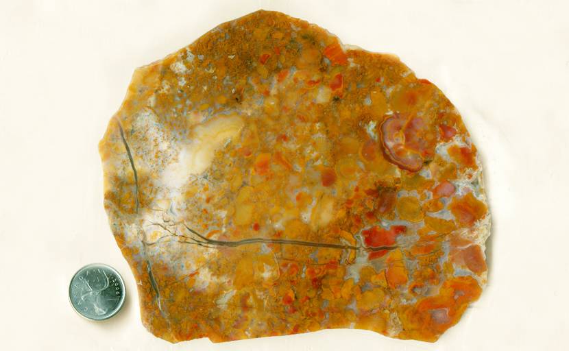 Red, yellow and orange patterns, spaced by blue fortifications, in a slab of Vacquilla Agate from Mexico.