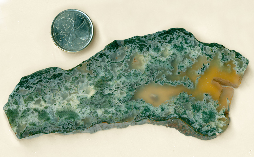 Blue and green moss, suspended in translucent agate. A striking example of this agate species, from Wyoming.