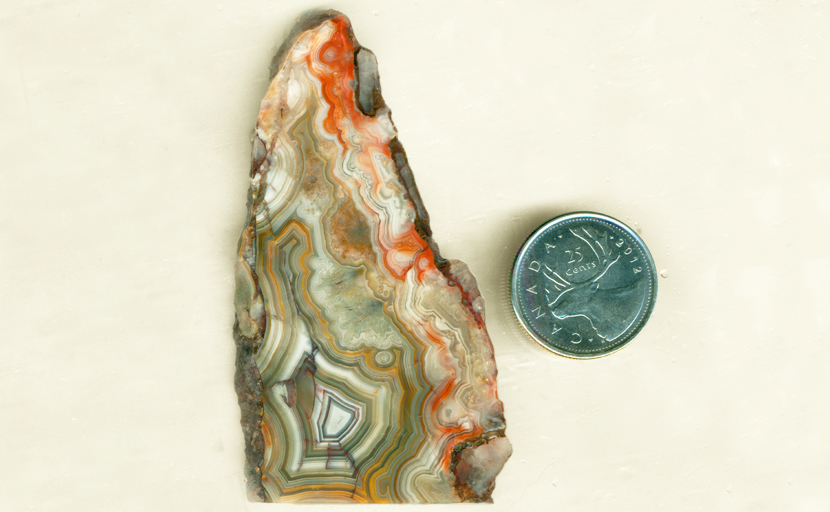 High-contrast fortification pattern with orange and yellow in a slab of Crazy Lace Agate from Mexico.