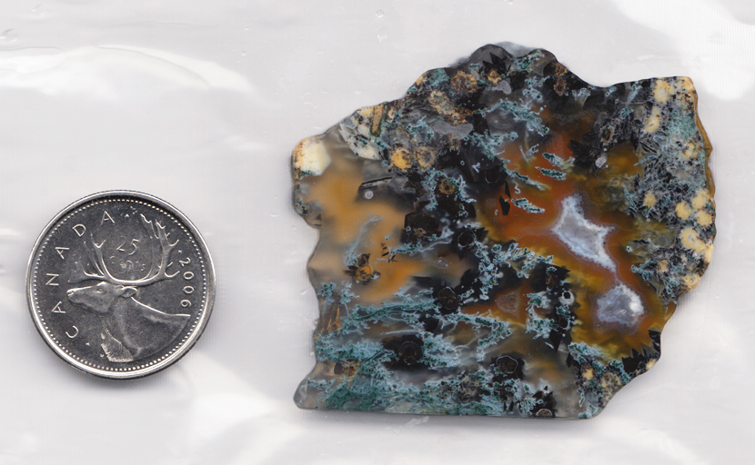 Reddish-gold translucent agate within ice-blue and black plumes.