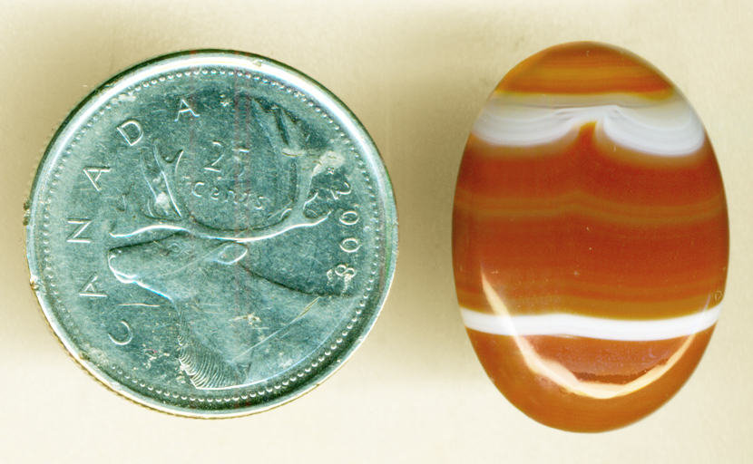 Two white bands in wave-like yellow and orange patterns in a calibrated cabochon of Uruguay Agate.