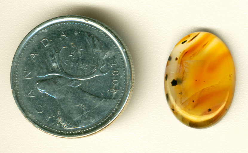 Yellow cabochon of Montana Agate with an orange fortification pattern and black flecks.