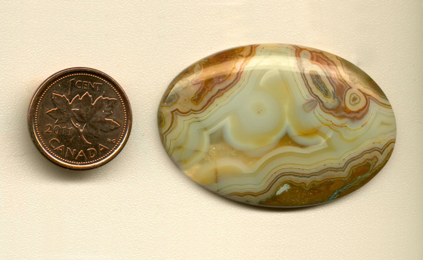 Calibrated polished Fairburn Agate cabochon from Nebraska of South Dakota, creamy and with reddish brown concentric patterns.