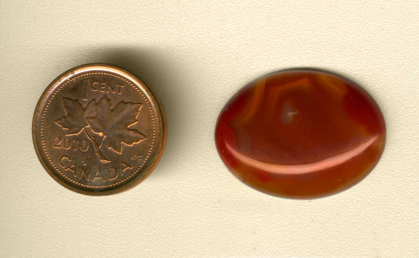 Calibrated polished oval Coyamito Agate cabochon from Mexico, with a large opaque and translucent orange fortification.