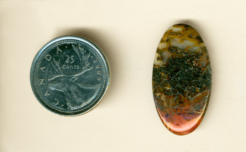 Cabochon of gem dinosaur bone, with orange and yellow agate patterns between the structures of the bone cells.