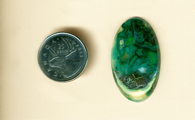 Cabochon of bright blue and green Chrysocolla, patterned in web and finger shapes, all preserved with clear chalcedony.