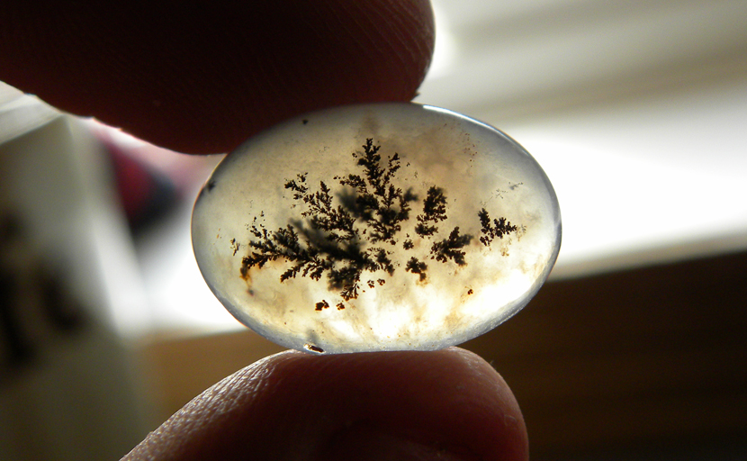 Dark spreading dendrites in bright Eagle Rock Agate from Oregon, with warm-colored clear details all around the darker patterns.