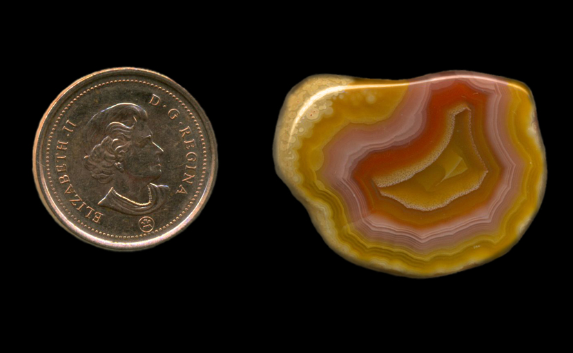 A polished freeform Fortification Agate, with one pink layer and one red layer in the midst of several yellow ones.