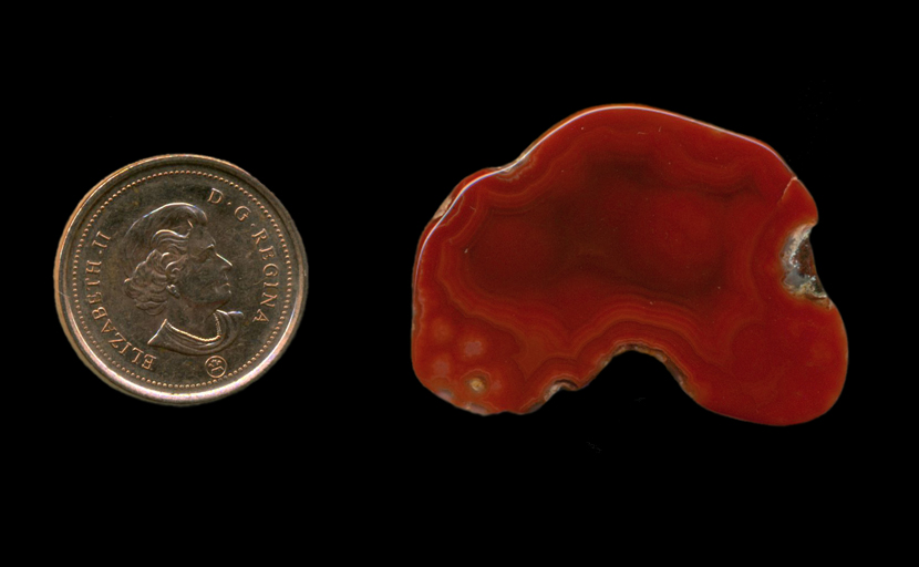 A polished freeform Fortification Agate from Mexico, deep red with patterning and depth.