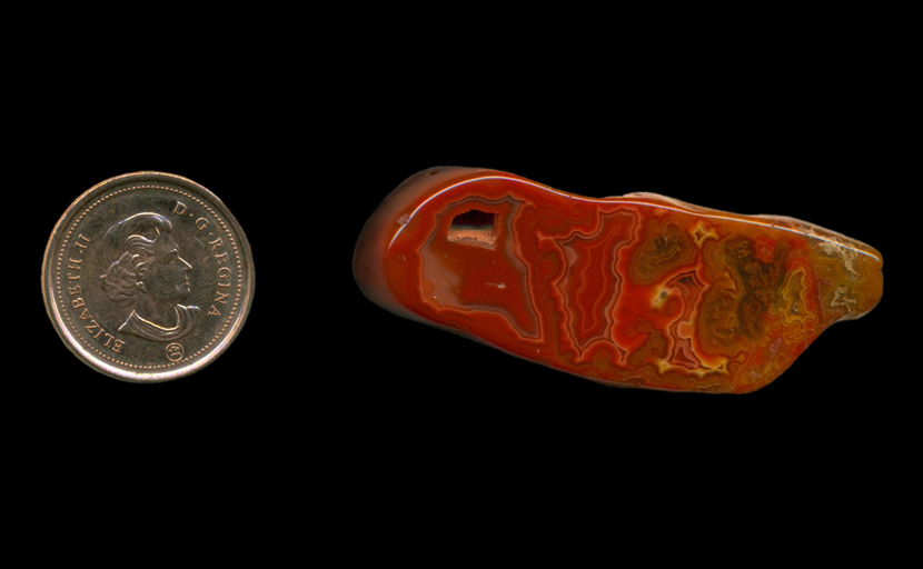 Freeform polished Fortification Agate from Mexico, red with four separate intricate yellow fortification patterns.