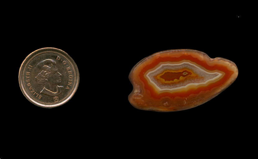 Freeform polished Fortification Agate from Mexico, with a dominating pattern of red, yellow, orange and coarse crystal layers.