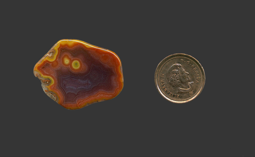  Freeform polished Fortification Agate from Mexico, with a bright orange and yellow rim and two bright yellow spots, all with a filling of violet.