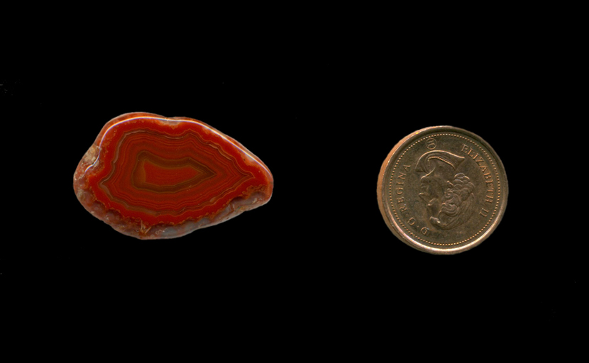 Freeform polished Fortification Agate from Mexico, with a series of bright, deep red fortification patterns, punctuated with translucent colorless chalcedony.