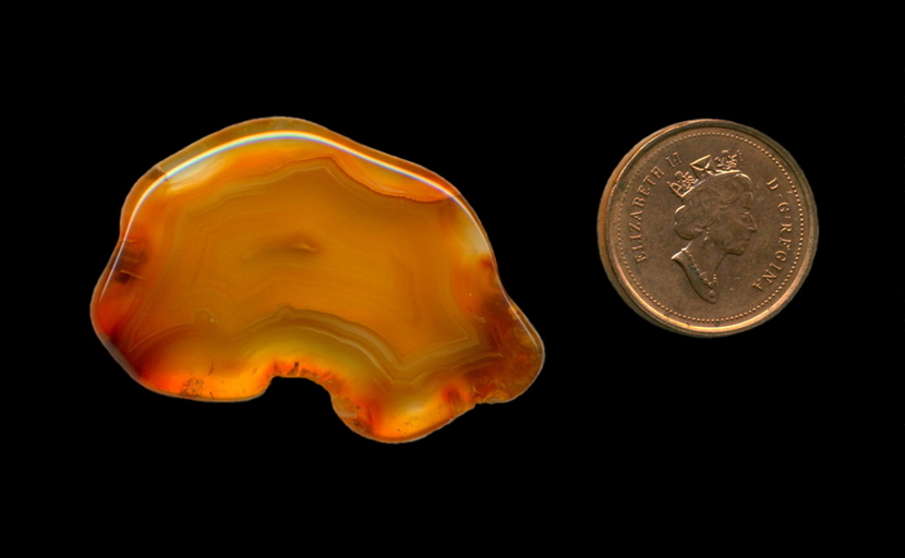 Freeform polished Fortification Agate from Mexico, with a bright orange color and red and yellow highlights along the edges, with a subtle fortification pattern that the red color is bleeding through.