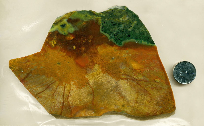 A slab of Ochoco Jasper from Oregon, with a pattern of bright green along the top, overhanging a wall of orange, which is patterned with darker colors, like water stains.