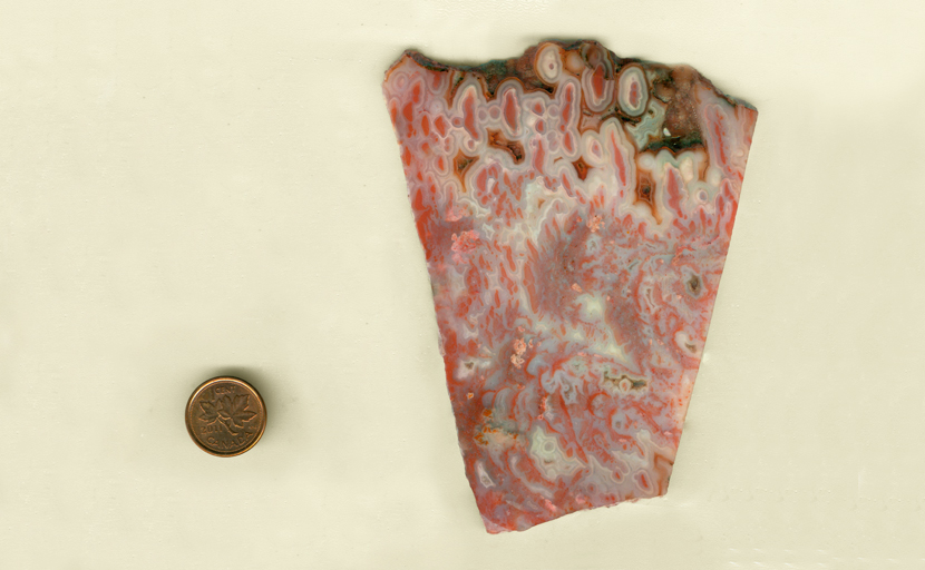 A trapezoid shaped slab of Mexican Flame Agate with pink flame patterns on a white background.