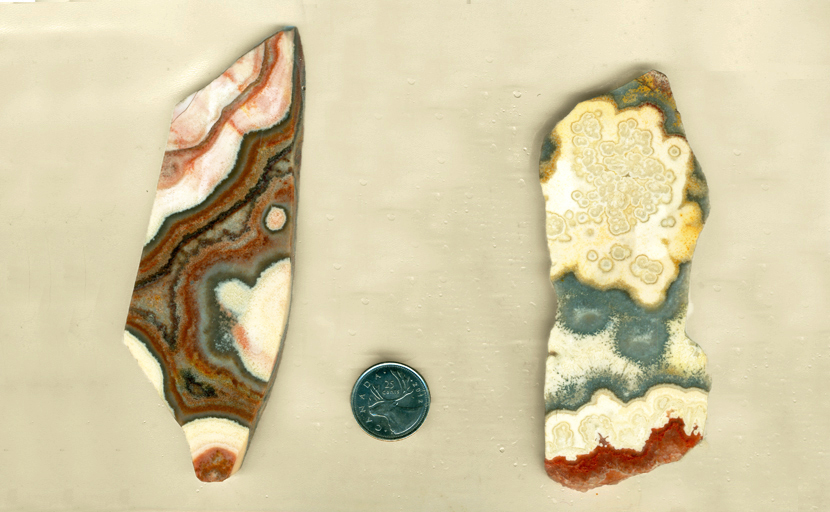 A set of 2 cactus Lace Agate slabs, full of high-contrast stripes of blue, white, red and yellow colors.