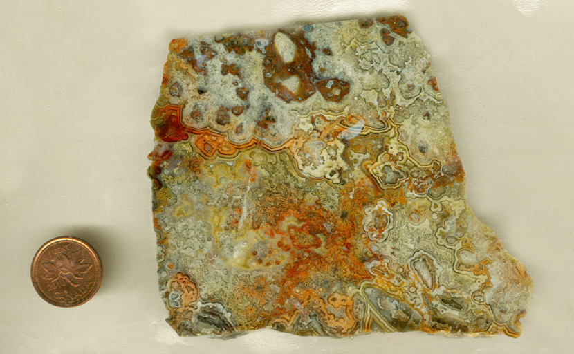 A slab of Sagenite Lace Agate from Mexico, with orange and yellow lace patterns and concentric lines, giving it a cartographic look.