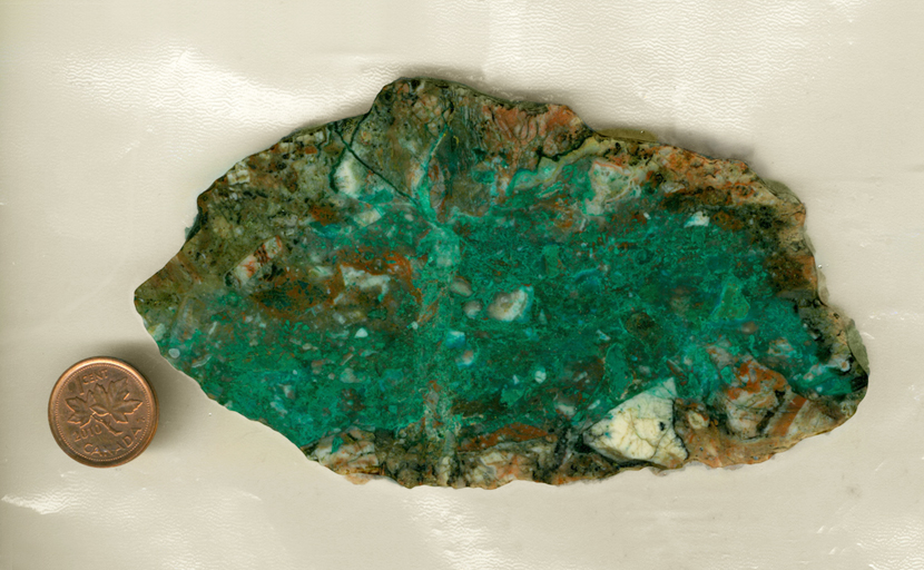 A slab of Chrysocolla from Arizona, with bluish-green web-like patterns in brown, red and white rock.