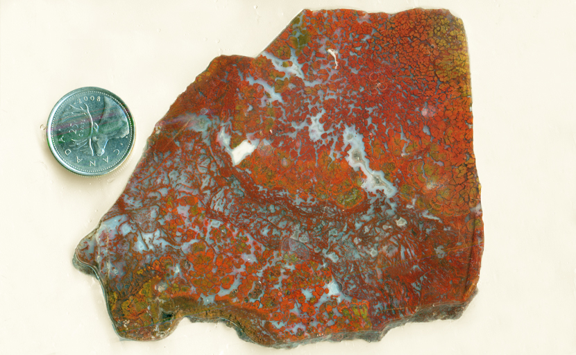 Red, orange and yellow strands of moss in a slab of Death Valley Plume Agate from California.