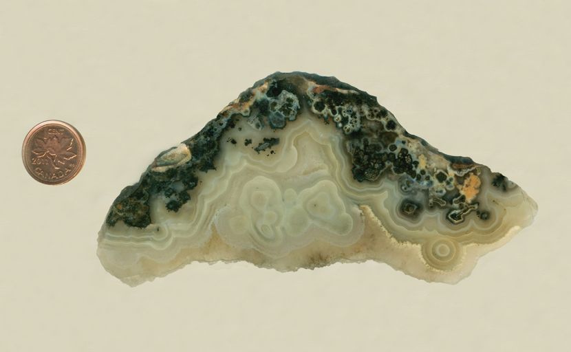 Colorless, patterned agate slab from Wyoming, patterned with black plumes of manganese.