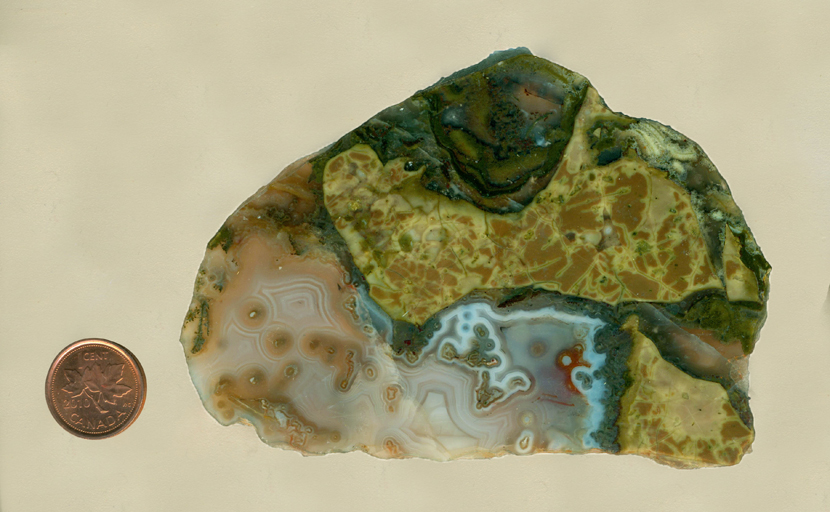 Thunderegg agate slab with thunderegg pattern, highlighted around the edges with blue and gray, bordered with yellow and green.