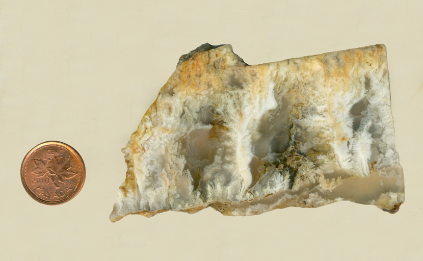 A slab of white and yellow plume agate from Idaho, with three large plumes highlighted.
