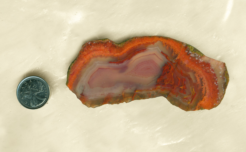Slab of Apache Agate from Mexico, with a bright orange band bleeding into a purple-red fortification pattern.