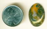 Green and blue moss in a yellow-orange translucent cabochon of Horse Canyon Agate.