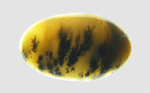 Calibrated oval polished Kansas Moss Agate cabochon, with black moss and dendrites in yellow chalcedony, with a bundle of yellow needles.