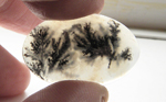 Detailed black tree patterns suspended in an Eagle Rock Agate cabochon from Oregon.