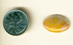 Calibrated polished Nipomo Sagenite cabochon, with a fan shape of golden-orange needles in bluish chalcedony.