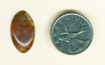 Hazy blue cabochon of Red Moss Agate from Montana with clear red moss inclusions in it.