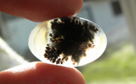 Dark moss in the center of a bright colorless and yellow cabochon of Eagle Rock Agate.