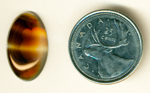 Light and dark coffee-colored cabochon of Montana Agate, with several clear windows and streaks across the darker background.