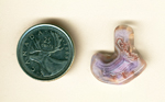 Unusually shaped purple fortified Parcelas Agate, with a swimming duck in its pattern.
